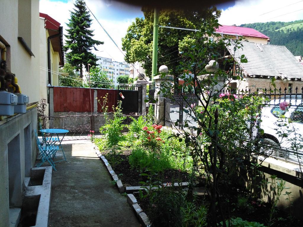 Apartament Nora ブラショフ エクステリア 写真